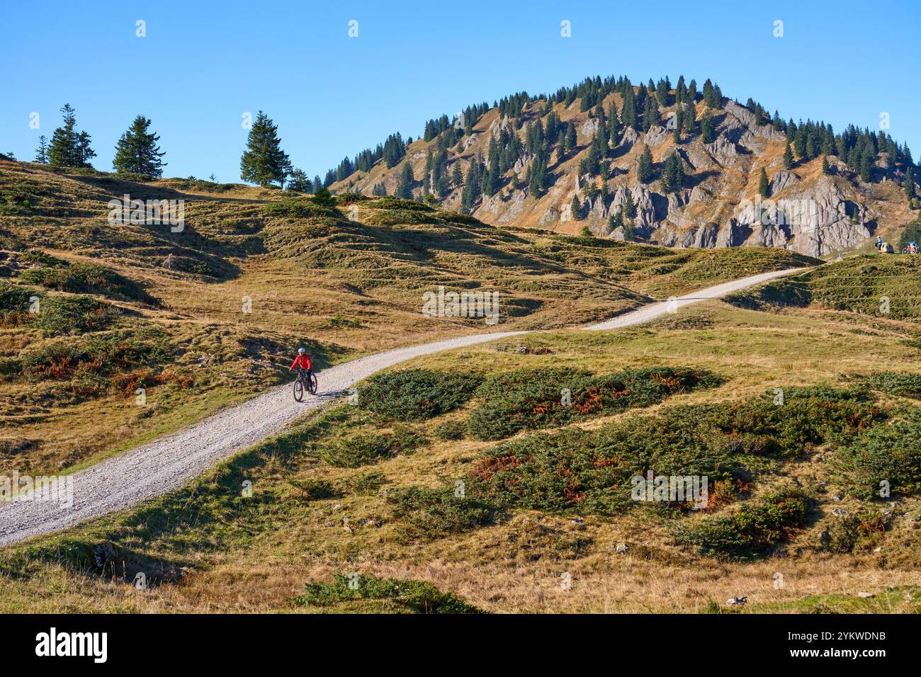 Donna in sella alla sua mountain bike elettrica sulle montagne sopra il villaggio di Balderschwang nelle Alpi Allgaeu, Baviera Germania Foto Stock