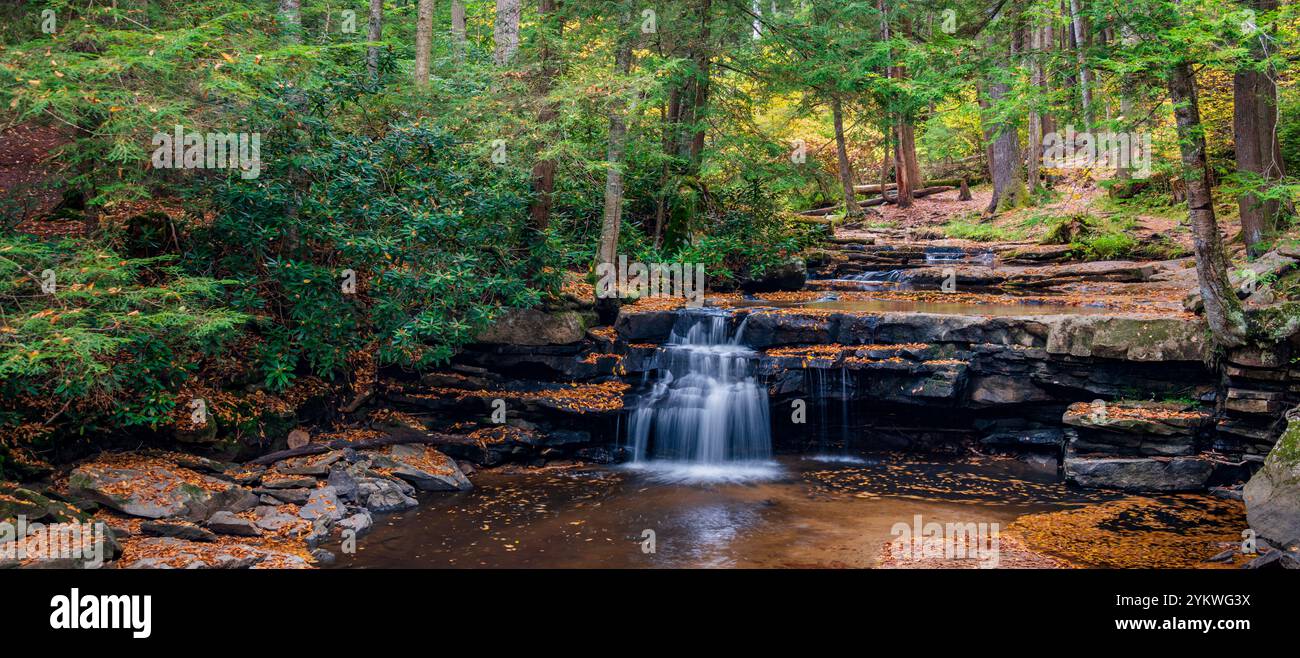 Tolliver Falls, Swallow Falls State Park, Maryland Foto Stock