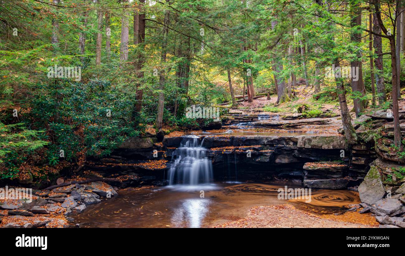 Tolliver Falls, Swallow Falls State Park, Maryland Foto Stock