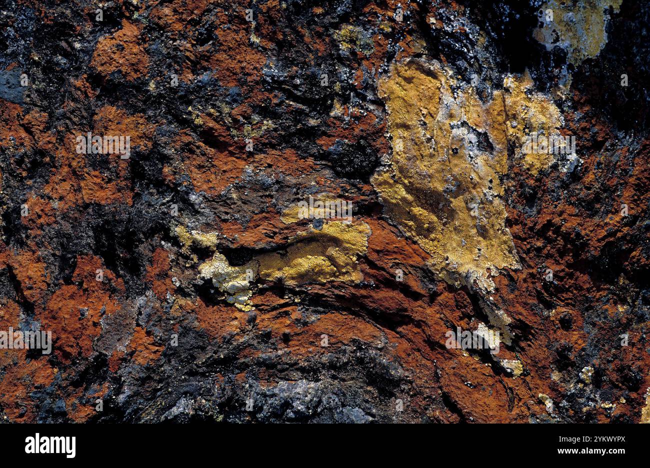 Primo piano su peridotite colorata. Una densa, a grana grossa. È la roccia dominante della montagna svedese. Foto Stock