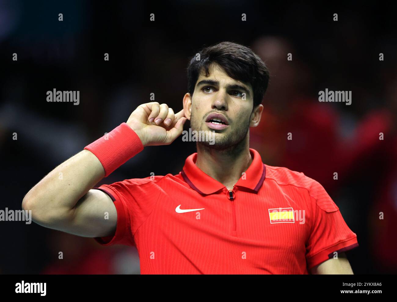 Malaga, Regno Unito. 19 novembre 2024. Carlos Alcaraz, in azione durante i quarti di finale di Coppa Davis 2024 contro Tallon Griekspoor, olandese, al Palacio de Deportes Jose Maria Martin Carpena Arena di Malaga. Crediti: Isabel Infantes/Alamy Live News Foto Stock