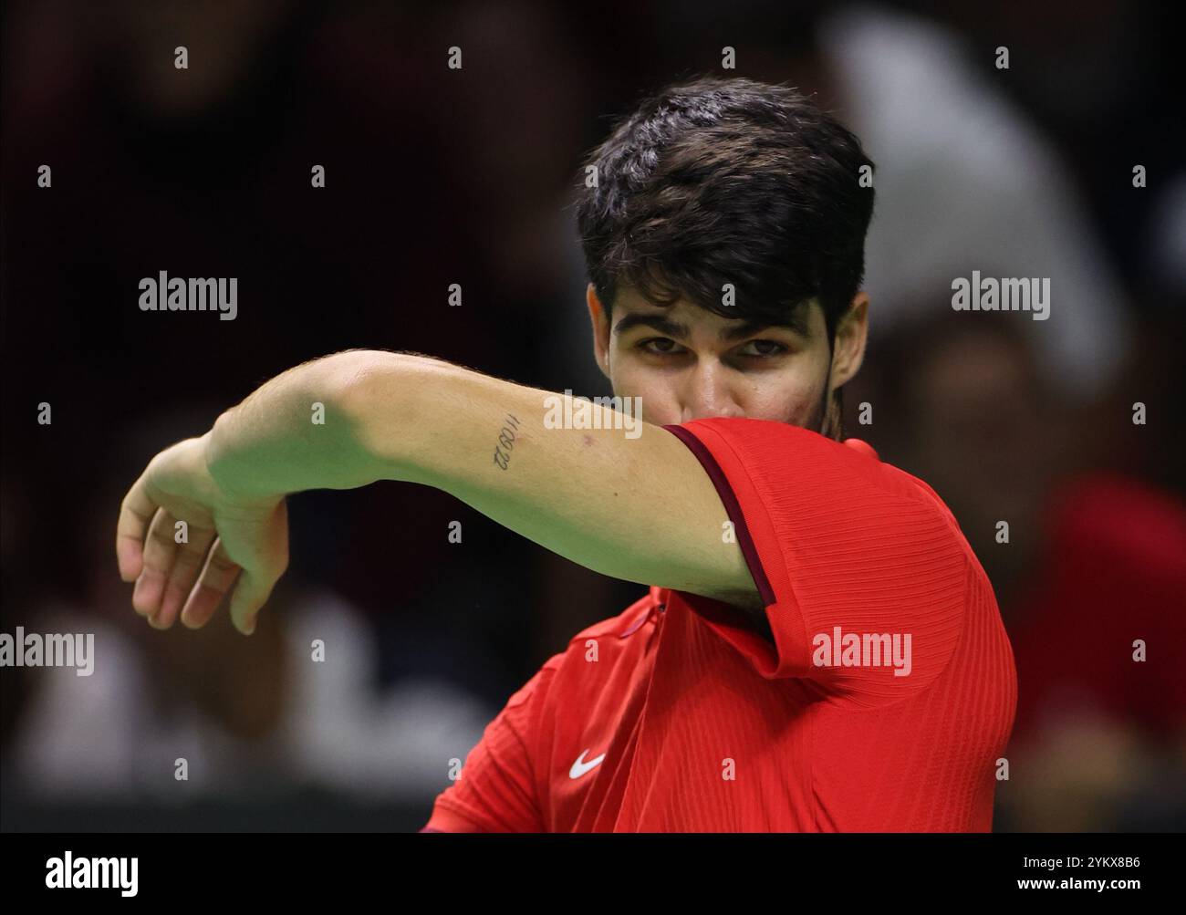 Malaga, Regno Unito. 19 novembre 2024. Carlos Alcaraz, in azione durante i quarti di finale di Coppa Davis 2024 contro Tallon Griekspoor, olandese, al Palacio de Deportes Jose Maria Martin Carpena Arena di Malaga. Crediti: Isabel Infantes/Alamy Live News Foto Stock