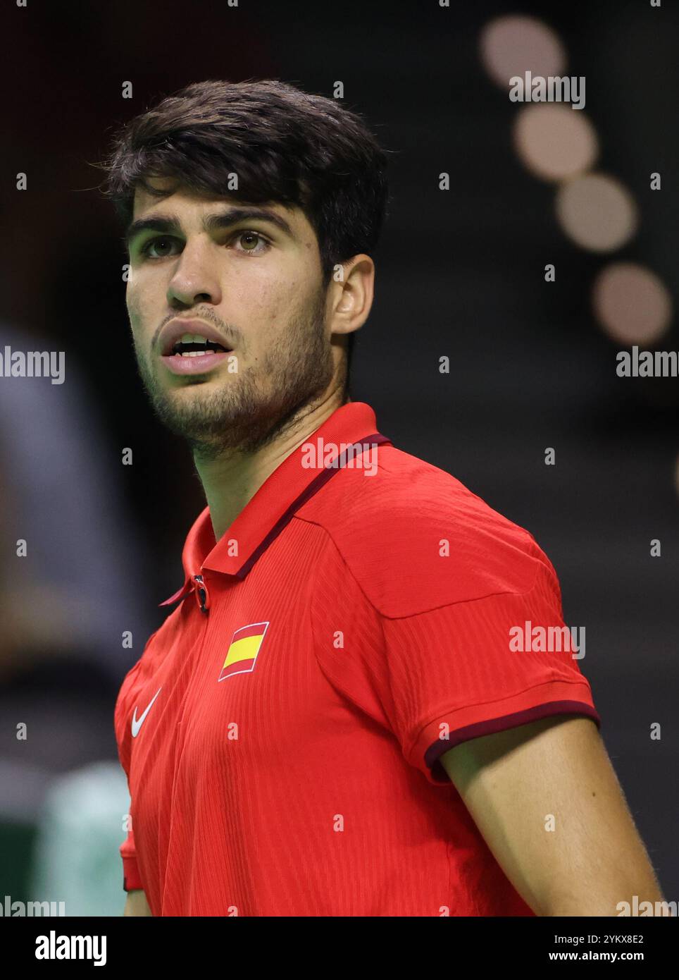 Malaga, Regno Unito. 19 novembre 2024. Carlos Alcaraz, in azione durante i quarti di finale di Coppa Davis 2024 contro Tallon Griekspoor, olandese, al Palacio de Deportes Jose Maria Martin Carpena Arena di Malaga. Crediti: Isabel Infantes/Alamy Live News Foto Stock
