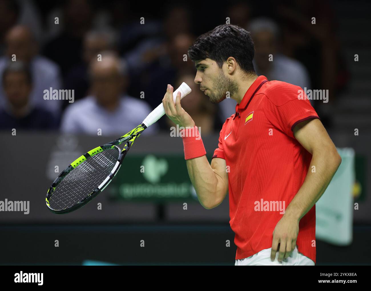 Malaga, Regno Unito. 19 novembre 2024. Carlos Alcaraz, in azione durante i quarti di finale di Coppa Davis 2024 contro Tallon Griekspoor, olandese, al Palacio de Deportes Jose Maria Martin Carpena Arena di Malaga. Crediti: Isabel Infantes/Alamy Live News Foto Stock