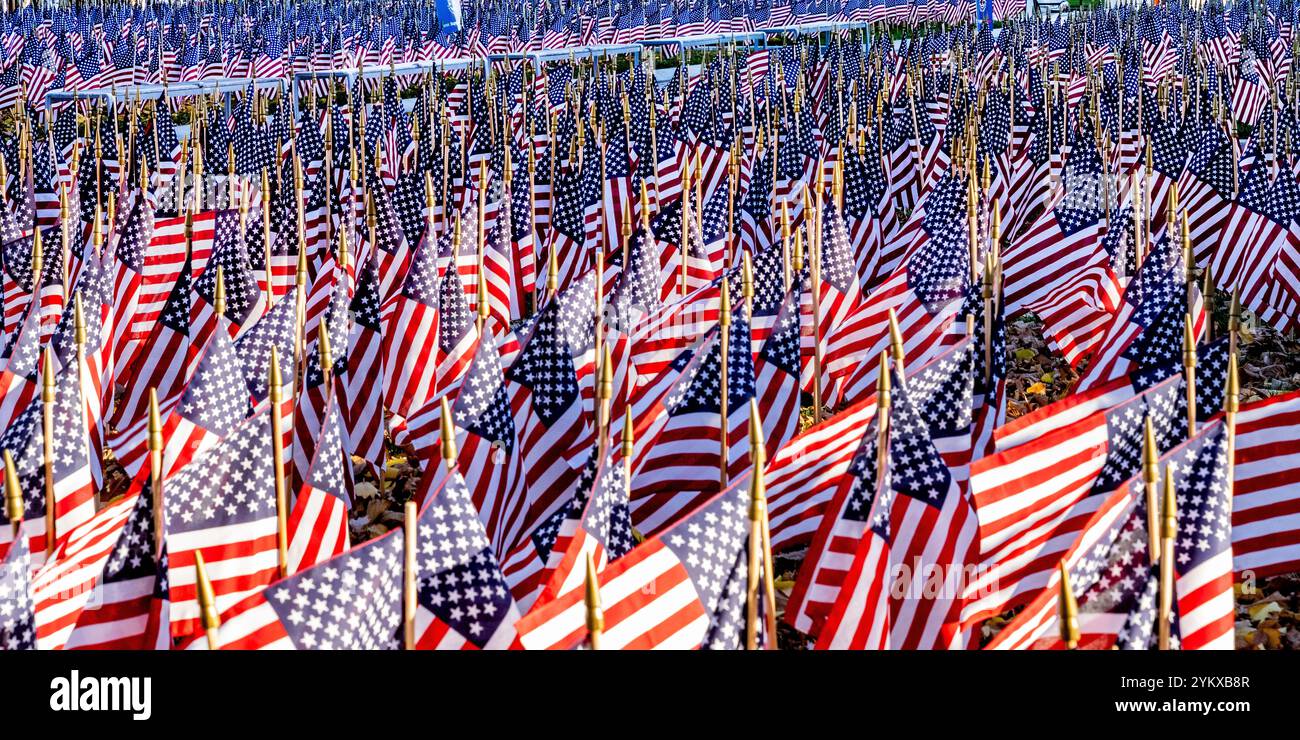 Bandiere americane - centinaia di bandiere in un monumento commemorativo vicino al porto e al porto/distretto portuale di Boston USA - numerose bandiere americane Foto Stock