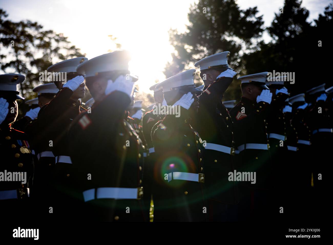 I Marines degli Stati Uniti dall'altra parte del campo base dei Marines di Lejeune salutano durante una cerimonia di deposizione delle ghirlande in onore del 3° Sergente maggiore del corpo dei Marines, sergente maggiore Thomas J. McHugh, al Coastal Carolina State Veterans Cemetery di Jacksonville, North Carolina, 10 novembre 2024. Dal 10 novembre 1954, le cerimonie di deposizione delle ghirlande sono condotte presso le tombe di ex comandanti e sergenti maggiore nel giorno del compleanno del corpo dei Marines per onorare il loro servizio. (Foto del corpo dei Marines degli Stati Uniti del Cpl. Loriann Dauscher) Foto Stock