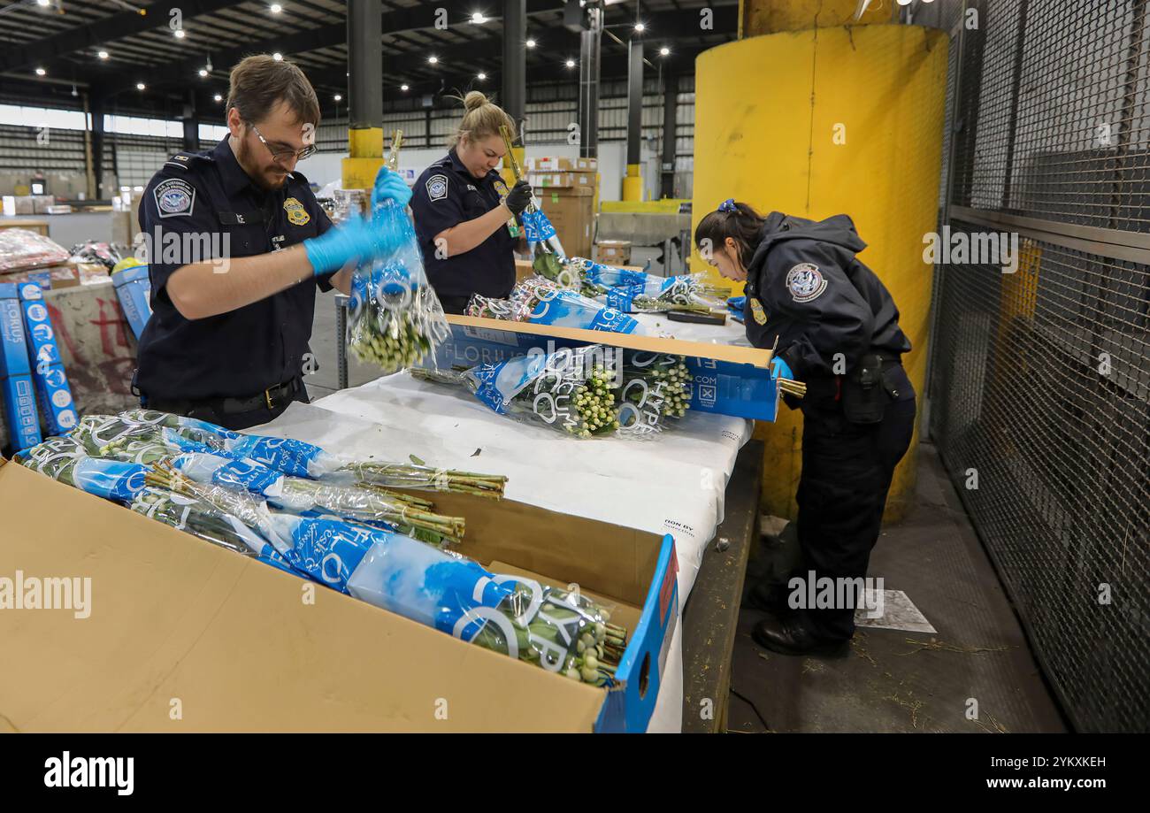 Gli specialisti dell'agricoltura del Customs and Border Protection Office of Field Operations degli Stati Uniti ispezionano i fiori recisi importati per assicurarsi che nessun parassita dannoso entri negli Stati Uniti all'aeroporto internazionale Dulles di Sterling, Virginia, 20 gennaio 2023. Il CBP analizza ogni anno un volume maggiore di fiori recisi importati nelle settimane precedenti il giorno di San Valentino. Foto CBP di Anthony Guas Foto Stock