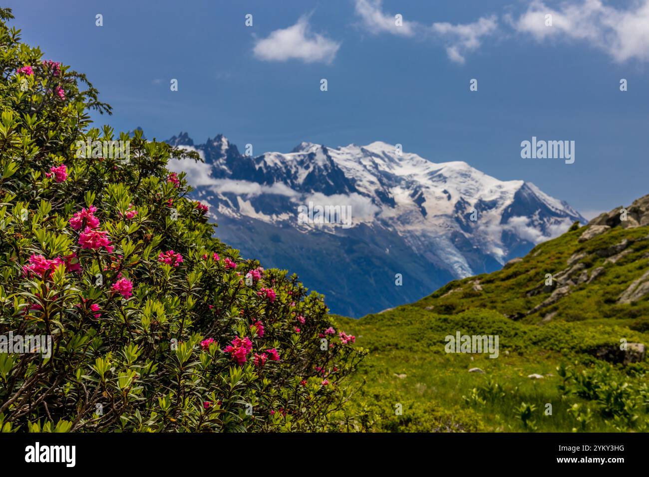 Vetta innevata del Monte bianco, la vetta più alta d'Europa, situata nelle Alpi. Un paesaggio mozzafiato con cime innevate e terreni accidentati Foto Stock