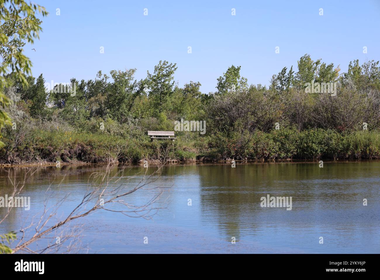 panchina accanto a un placido laghetto paludoso sotto un cielo azzurro Foto Stock