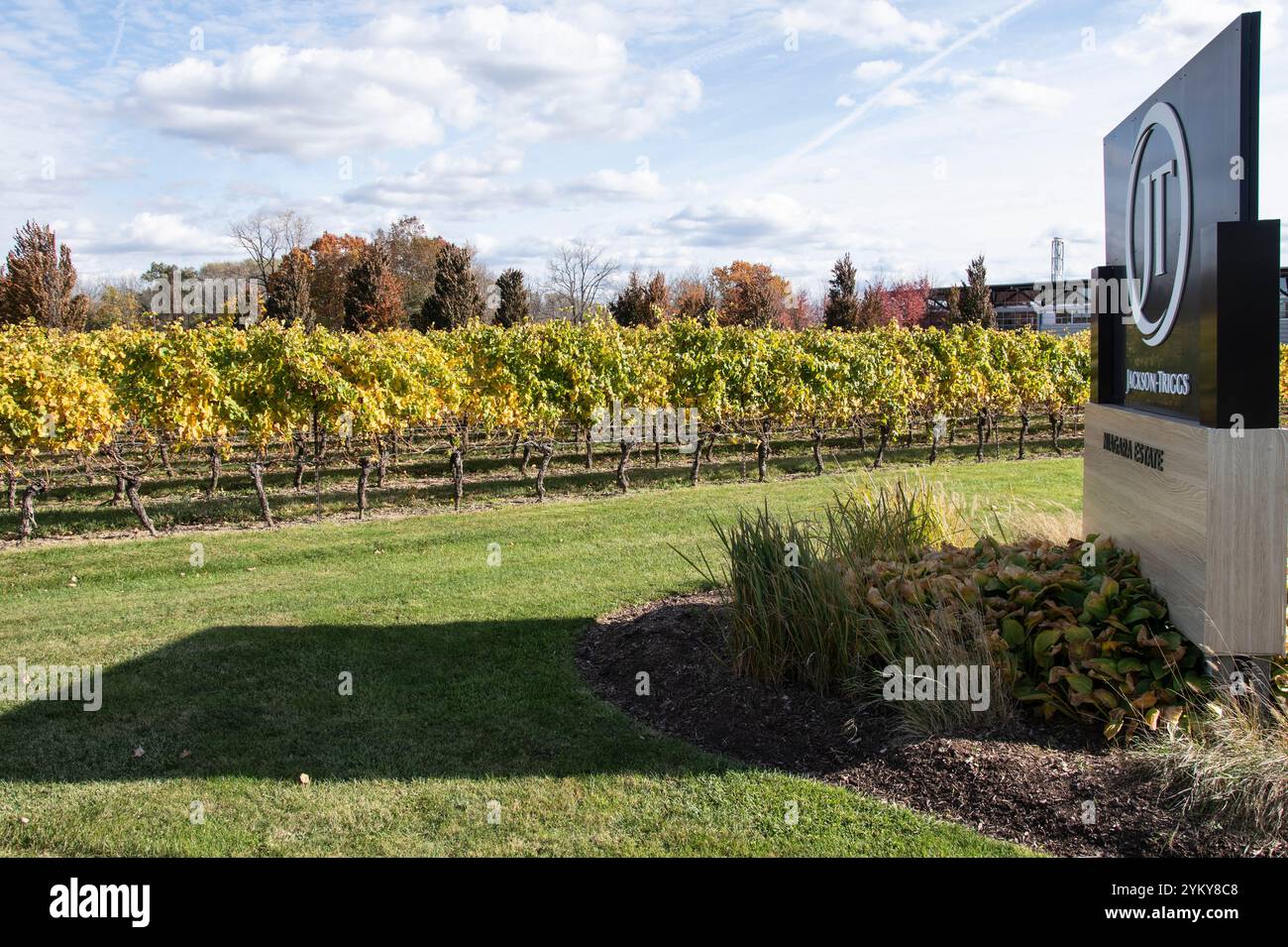 Azienda vinicola Jackson Triggs sulla Niagara Stone Road a Niagara-on-the-Lake, Ontario, Canada Foto Stock