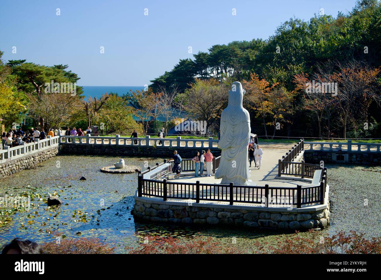 Contea di Yangyang, Corea del Sud - 3 novembre 2024: Una statua serena sorge nello stagno riflettente di fronte al Padiglione Botarak al Tempio Naksansa, Foto Stock