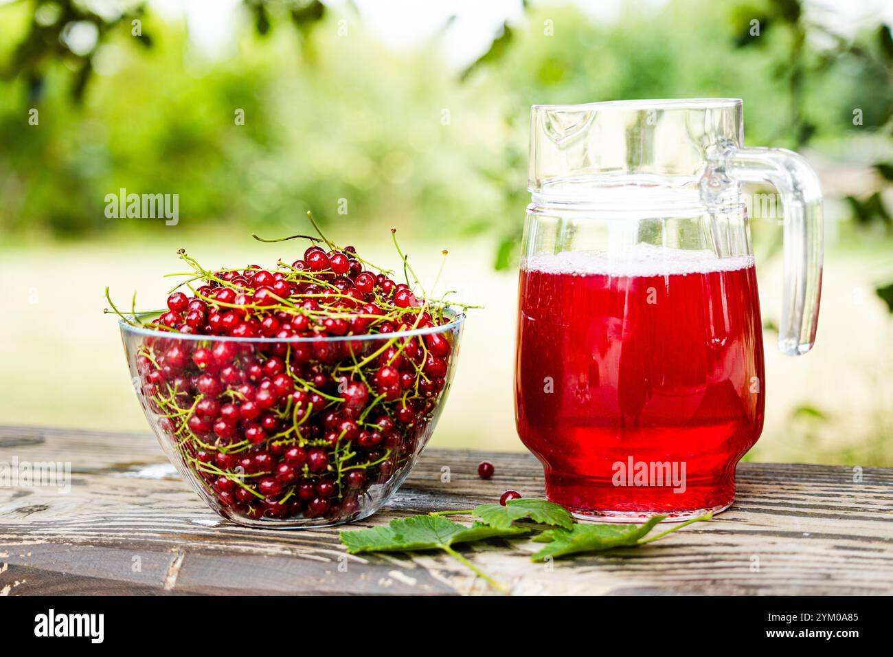 Ribes rosso fresco nel recipiente e bevanda di ribes rosso sul tavolo di legno. Frutta dal giardino di casa. Rinfreschi estivi. Bevanda analcolica. Composta di ribes rosso. Ciao Foto Stock