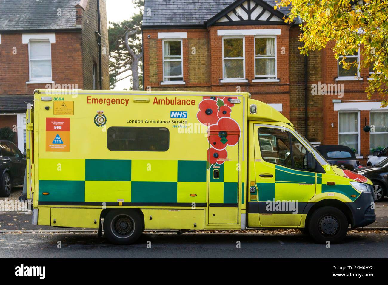 Un'ambulanza di emergenza del London Ambulance Service NHS Trust con disegno papavero per Remembrance Day parcheggiata nel sud di Londra. Foto Stock