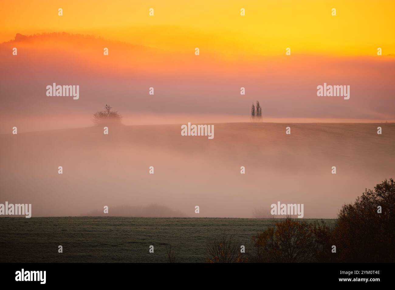 Alba autunnale nebbiosa: Una tela di ricchi rossi e arance nella nebbia Foto Stock