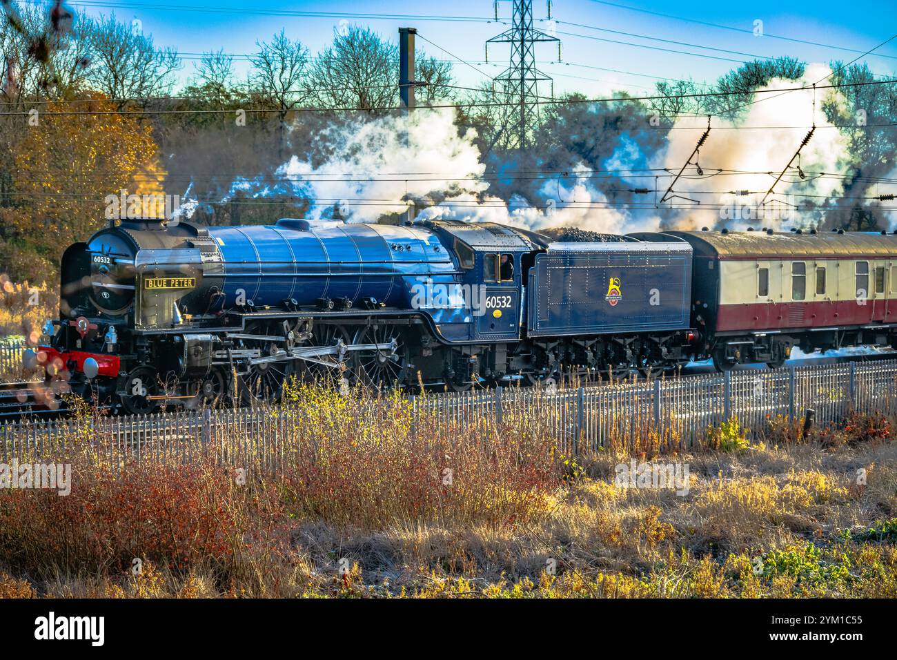 LNER Peppercorn Classe A2 No. 60532 Blue Peter una locomotiva a vapore 4-6-2 ('Pacific') vista a Winwick sulla linea postale della West Coast con un tour ferroviario chiamato Foto Stock