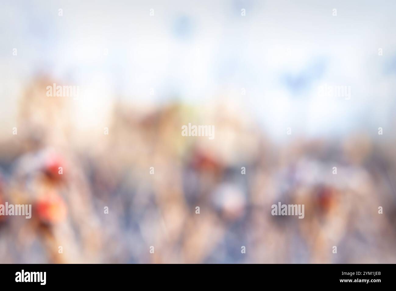 I partecipanti entusiasti festeggiano in un vivace festival all'aperto pieno di energia, colori ed emozioni in una giornata di sole. Foto Stock