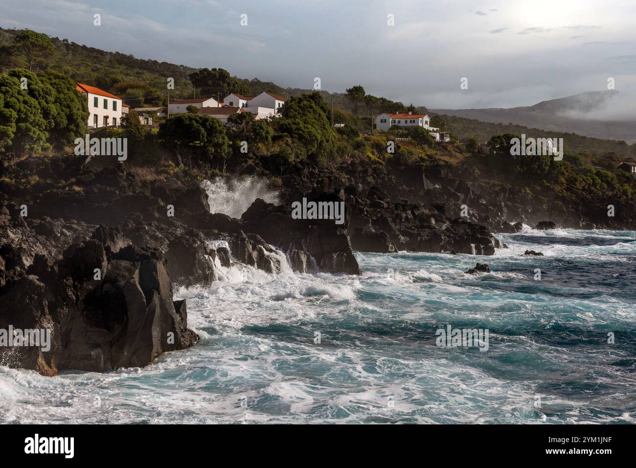 La costa lavica di Sao Joao, Pico Island, Azzorre. Foto Stock