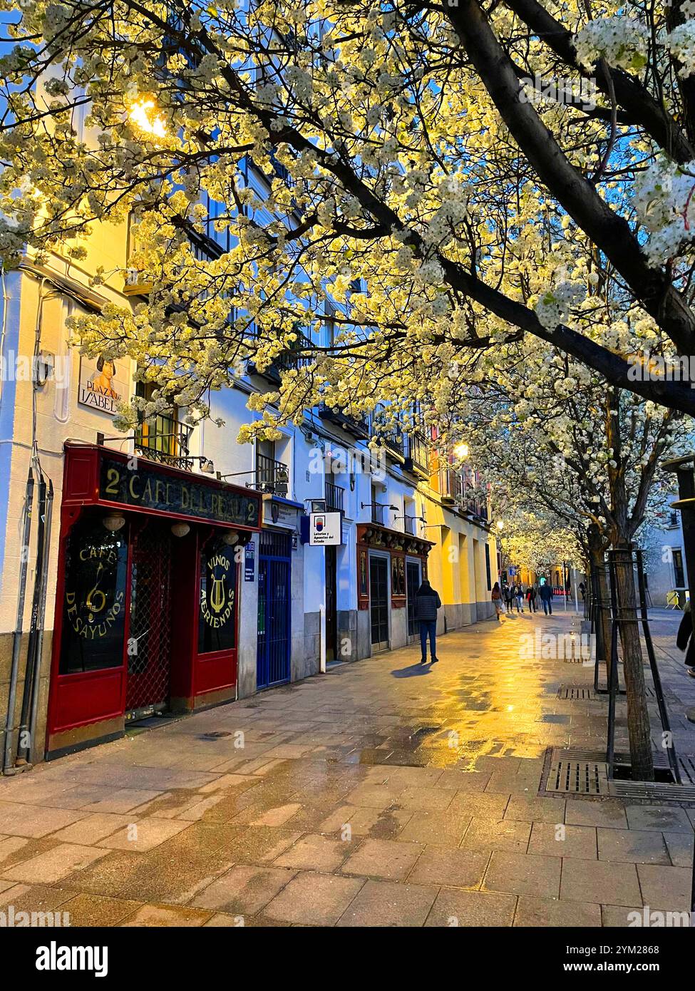Piazza Isabella II, vista notturna. Madrid, Spagna. Foto Stock