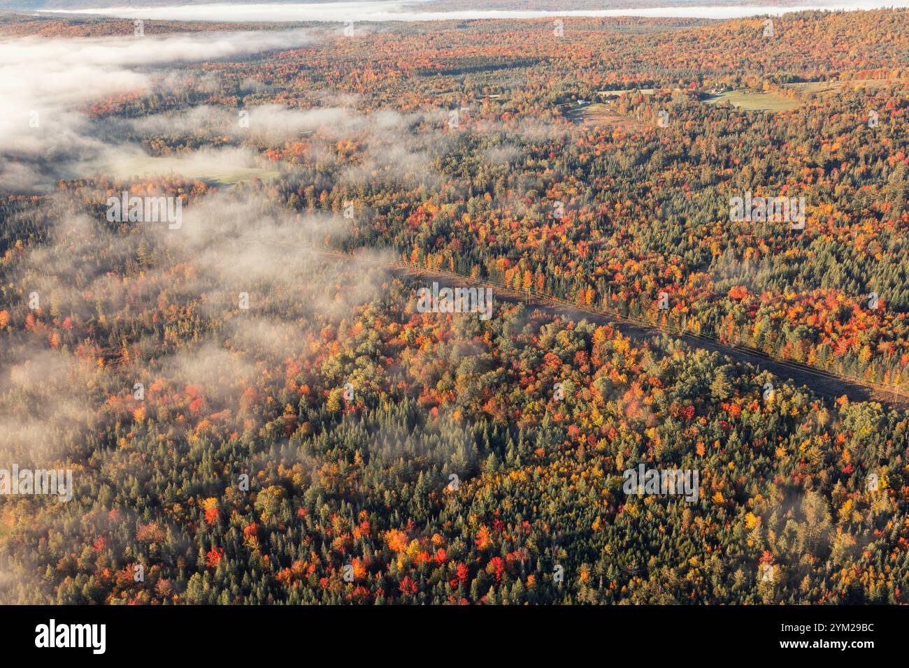 Paesaggio della foresta autunnale di Foggy. Foto droni dall'alto attraverso soffici nuvole. Volo con droni sopra la foresta autunnale Foto Stock