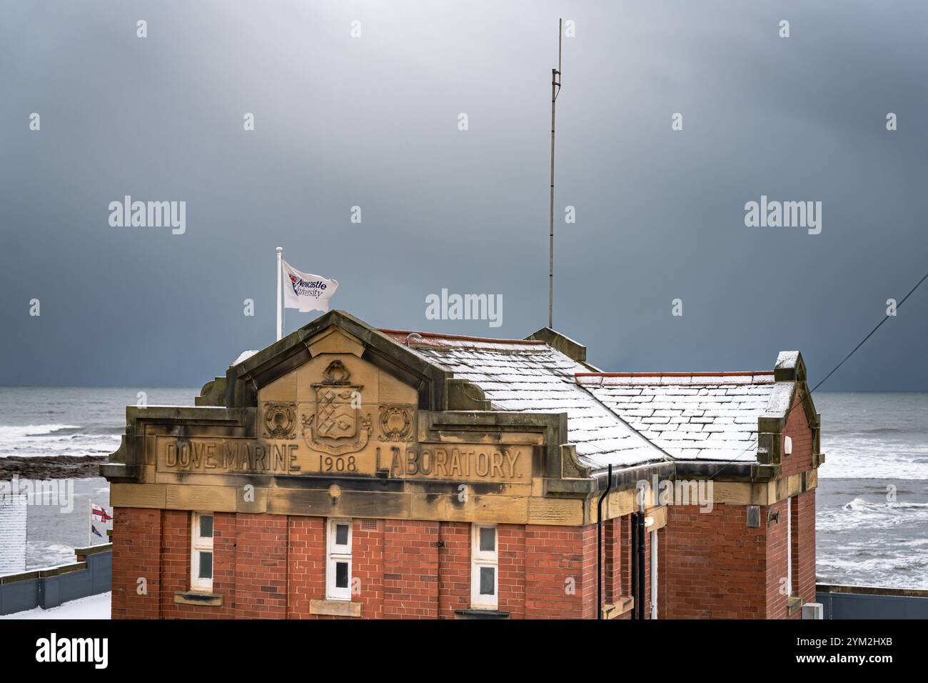 Le bandiere degli RNLI Cullercoats e della dove Marina Newcastle University volano al vento dopo una nevicata sulla costa di Cullercoats Foto Stock