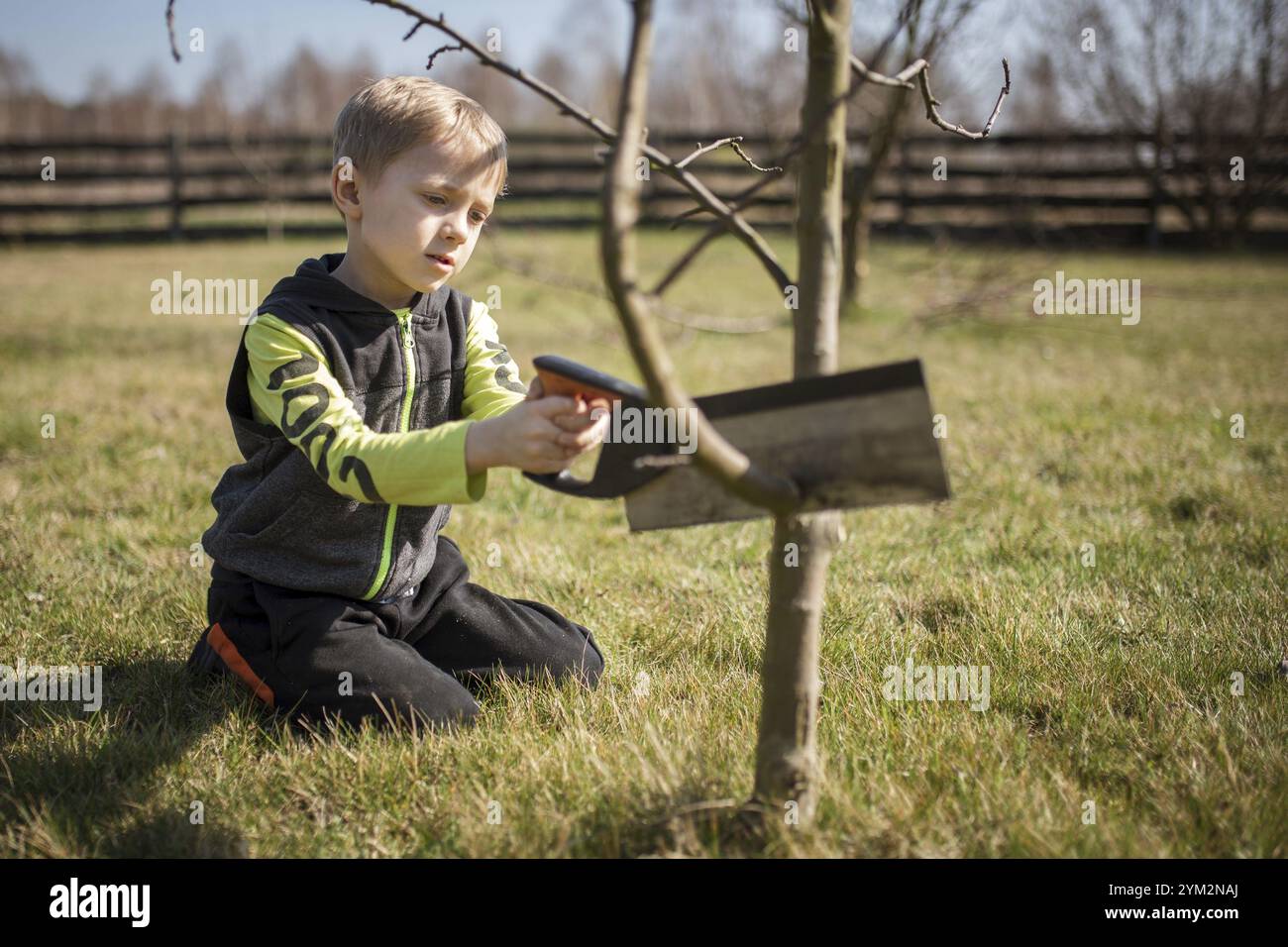 Il bambino di sei anni in giardino taglia i rami dell'albero durante il sole della primavera. Foto Stock
