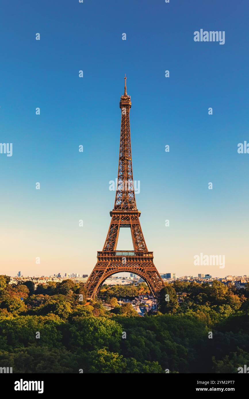 Ein ikonisches Bild des Eiffelturms a Parigi, Frankreich, aufgenommen an einem klaren Tag mit strahlend blauem Himmel. Der Turm steht majestätisch im Zentrum, umgeben von den Grünen Bäumen des Champ de Mars im Vordergrund. Die Warme Beleuchtung unterstreicht die Details der filigranen Eisenstruktur. Dieses foto fängt die Essenz der französischen Hauptstadt und ihres bekanntesten Wahrzeichens ein. *** Un'immagine iconica della Torre Eiffel a Parigi, in Francia, scattata in una giornata limpida con un cielo azzurro luminoso, la torre si erge maestosamente al centro, circondata dagli alberi verdi del campo di Marte Foto Stock