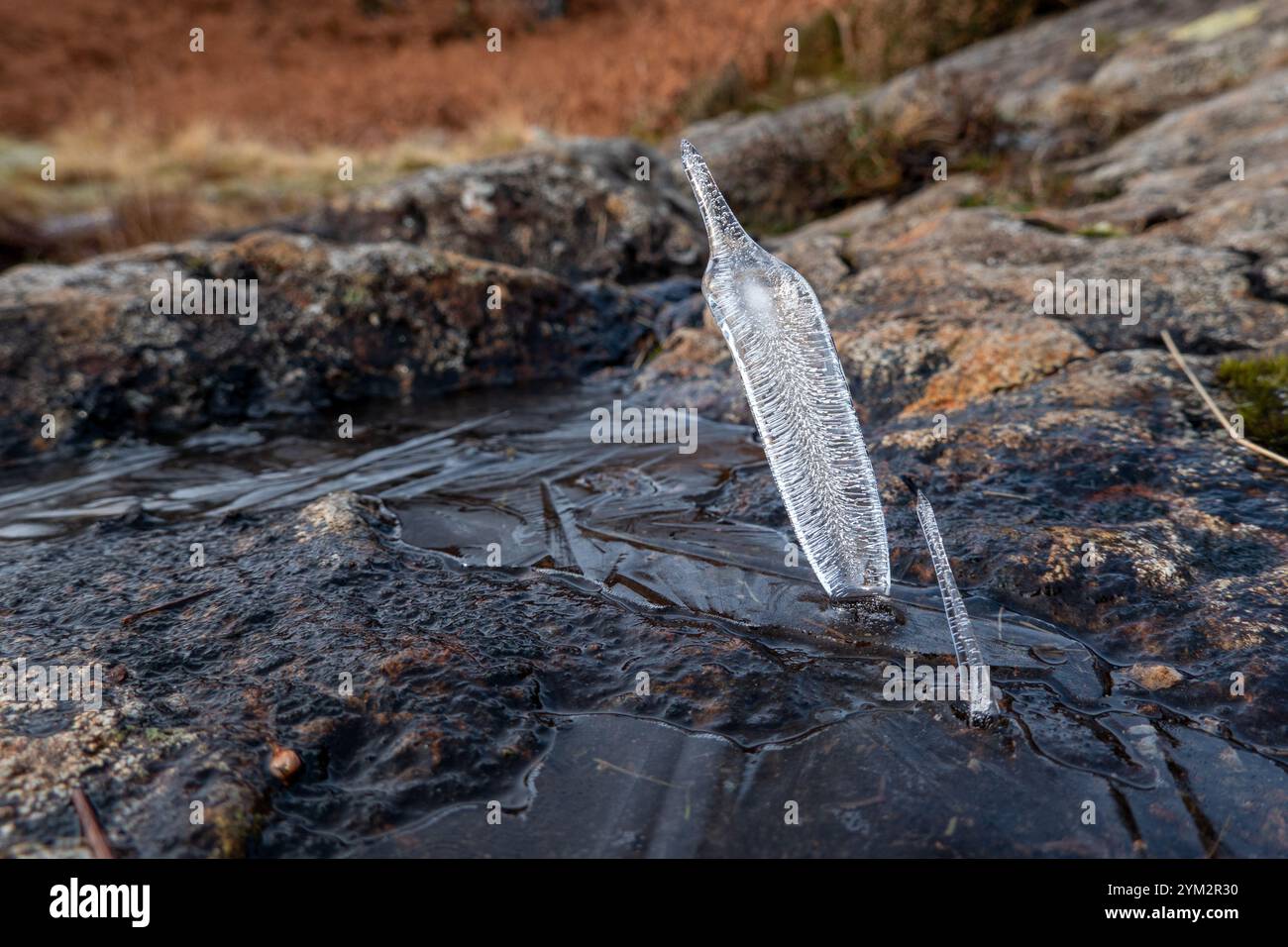 Si forma un picco di ghiaccio raro e insolito mentre una marmellata si congela e spreme l'acqua attraverso gli ultimi buchi in una giornata fredda di vento con la moun High Spy Foto Stock
