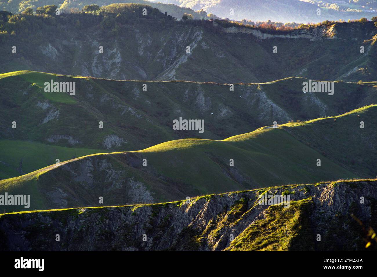 Colline di campi e calanchi illuminati da una luce laterale, nell'ora d'oro Foto Stock