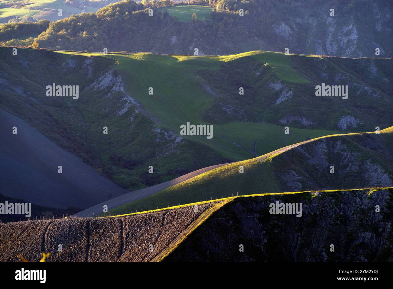Colline di campi e calanchi illuminati da una luce laterale, nell'ora d'oro Foto Stock