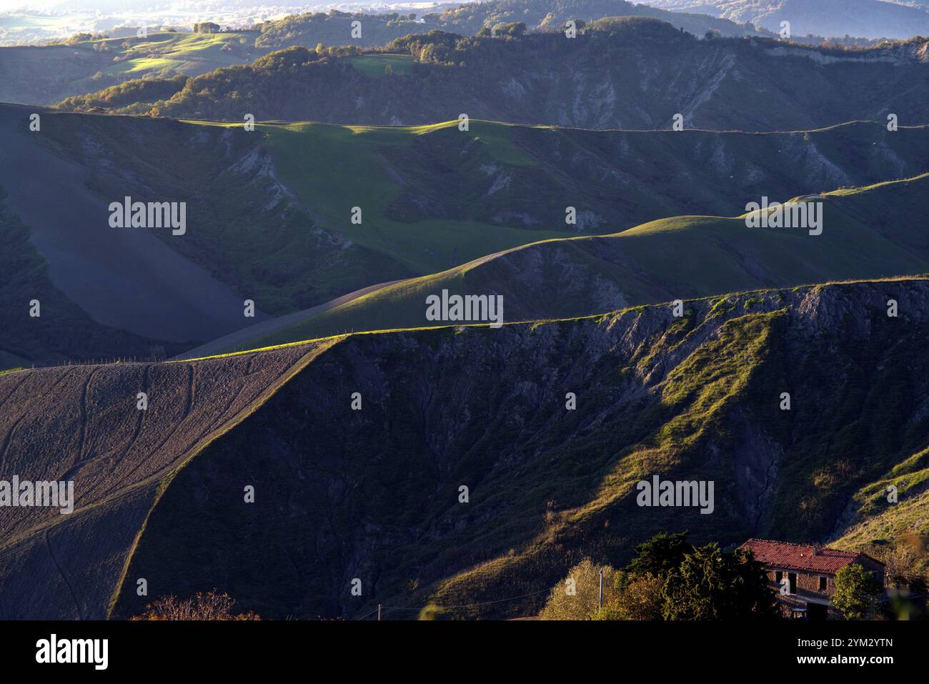 Colline di campi e calanchi illuminati da una luce laterale, nell'ora d'oro Foto Stock