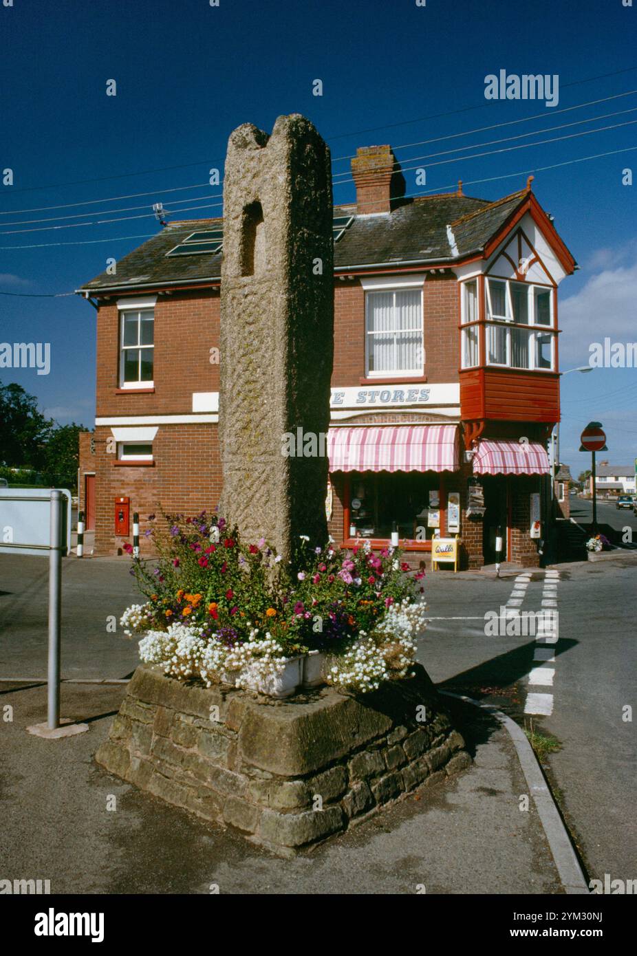 Guarda NW di Copplestone, albero trasversale anglosassone, Devon, Inghilterra, Regno Unito, che mostra motivi interlacciati con una piccola nicchia nella parte superiore che taglia i motivi. Foto Stock