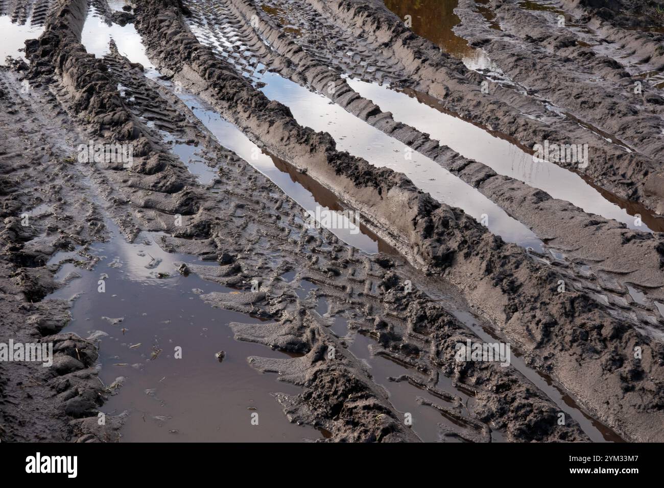 Tracce di pneumatici di trattori e macchinari pesanti nel fango Foto Stock
