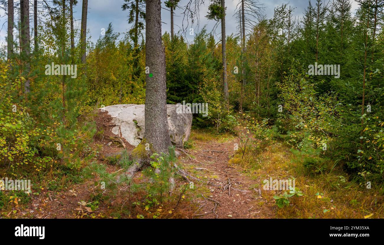Paesaggio della foresta settentrionale con un'enorme pietra. Roccia erratica glaciale. Sentiero di studio della natura di Tadu, Estonia. Foto Stock