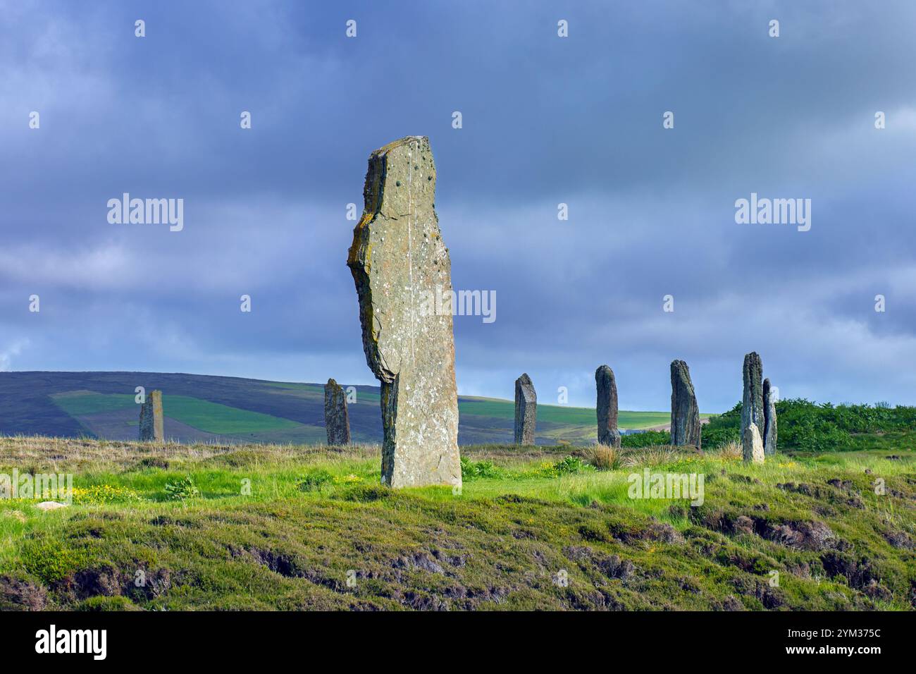 Anello di Brodgar / Brogar, henge neolitico e cerchio di pietre erette vicino a Stromness sulla terraferma, la più grande isola delle Orcadi, Scozia, Regno Unito Foto Stock