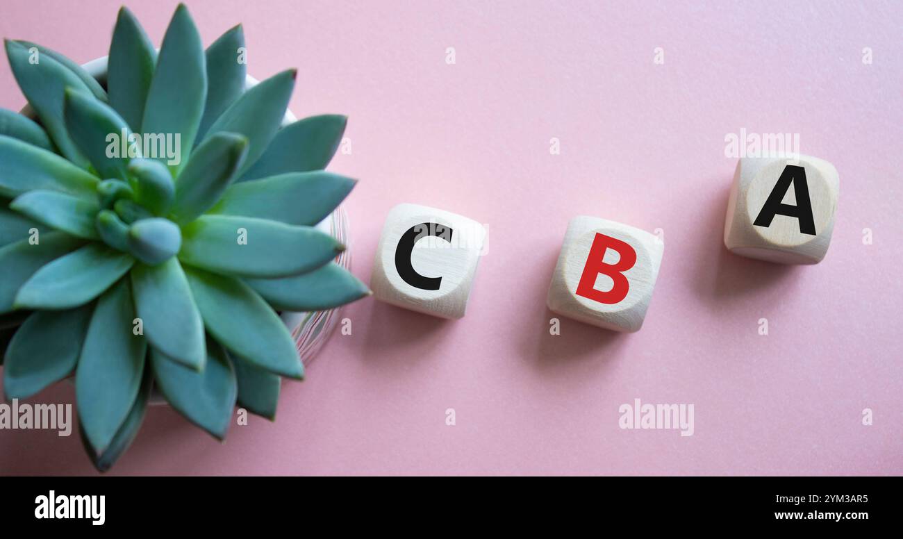 CBA - simbolo dell'analisi costi-benefici. Cubi di legno con parola CBA. Bellissimo sfondo rosa con piante succulente. Analisi del business e dei costi e dei benefici con Foto Stock