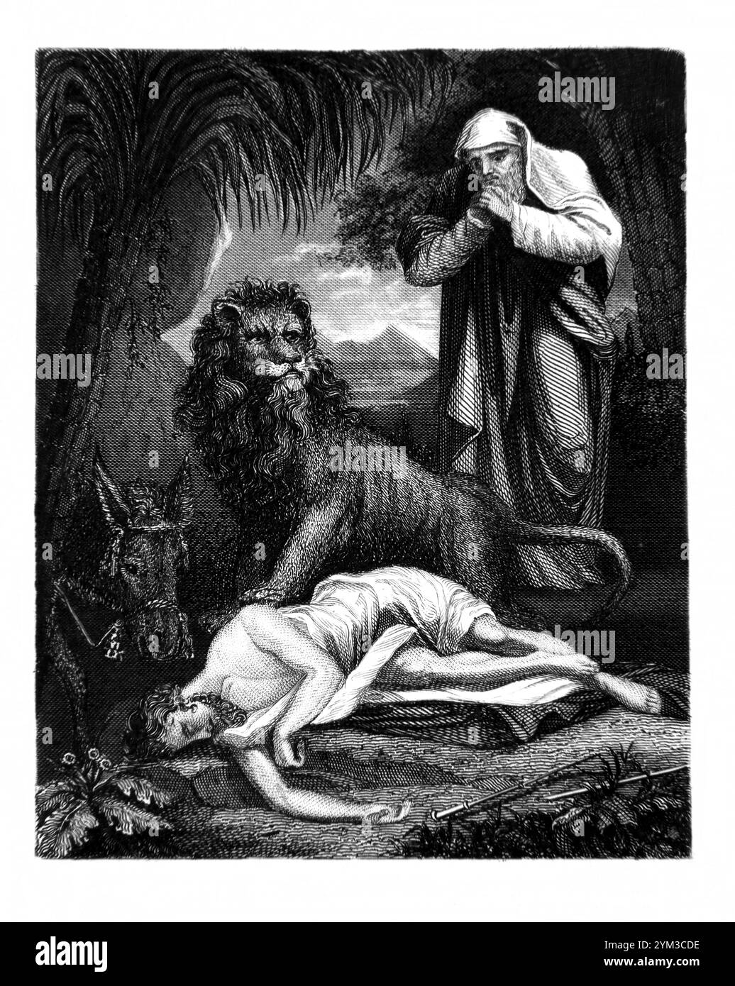 Incisione d'acciaio del disobbediente Profeta distrutto da un Leone (1 Re 13 V 28) dalla storia della scrittura illustrata di Tallis del 1851 per il miglioramento Foto Stock