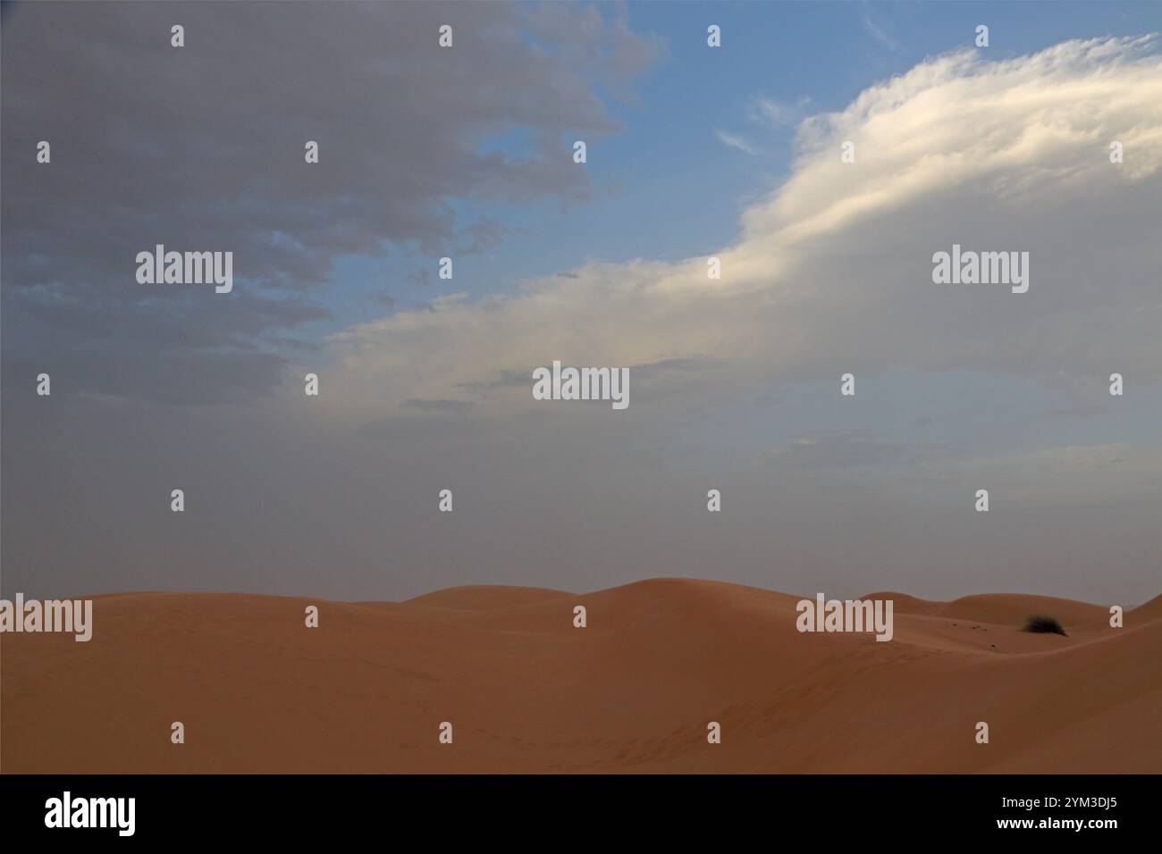 Dune di sabbia al deserto Wahiba Sands Oman Foto Stock