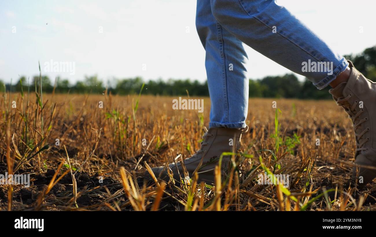 I piedi femminili dell'agricoltore attraversano il prato di grano al tramonto. Gambe di agronomo in stivali che camminano tra le piantagioni di orzo al crepuscolo. Concetto di Foto Stock