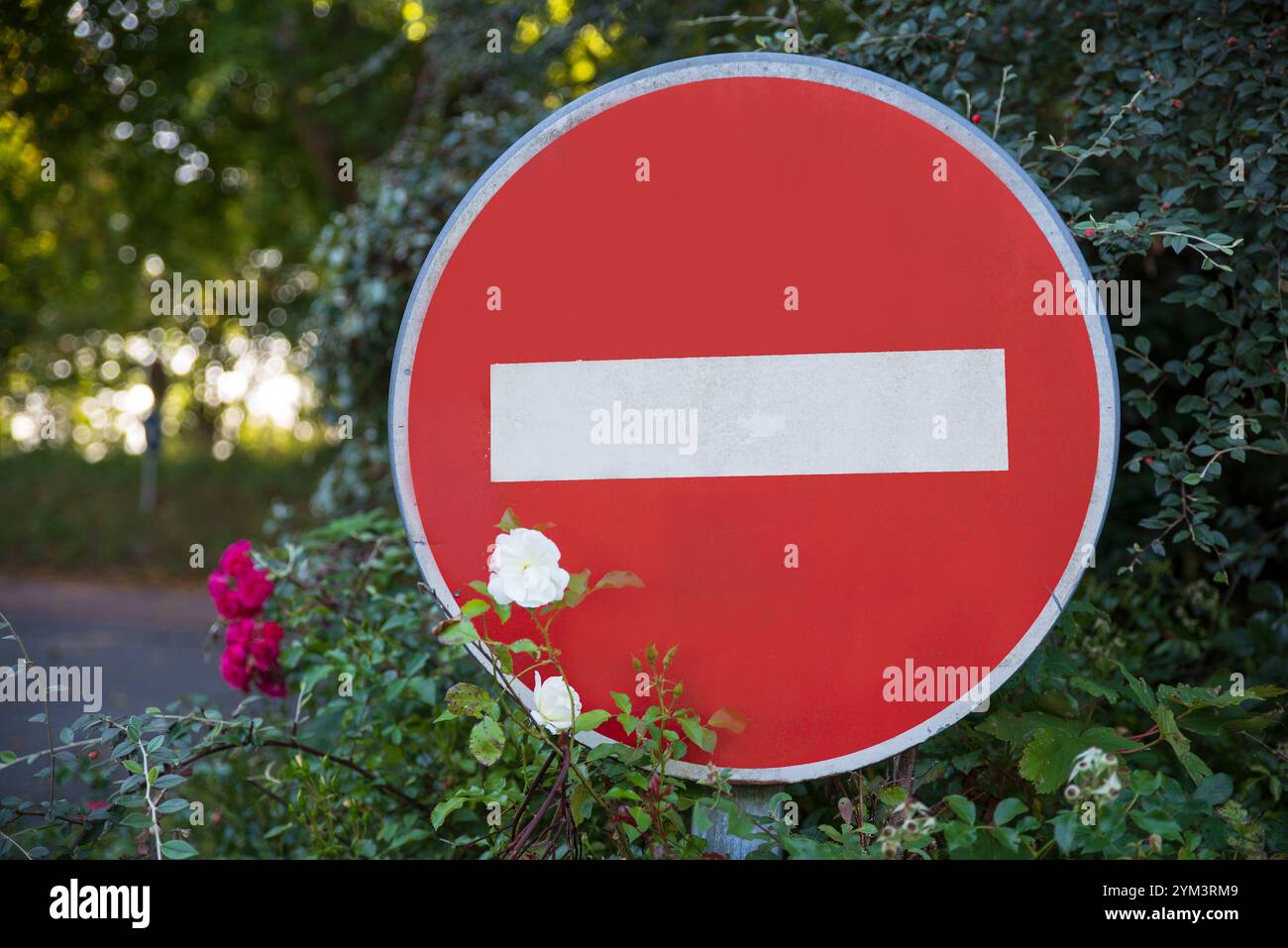 Un cartello a senso unico sul lato di una strada di campagna con alberi su entrambi i lati Foto Stock