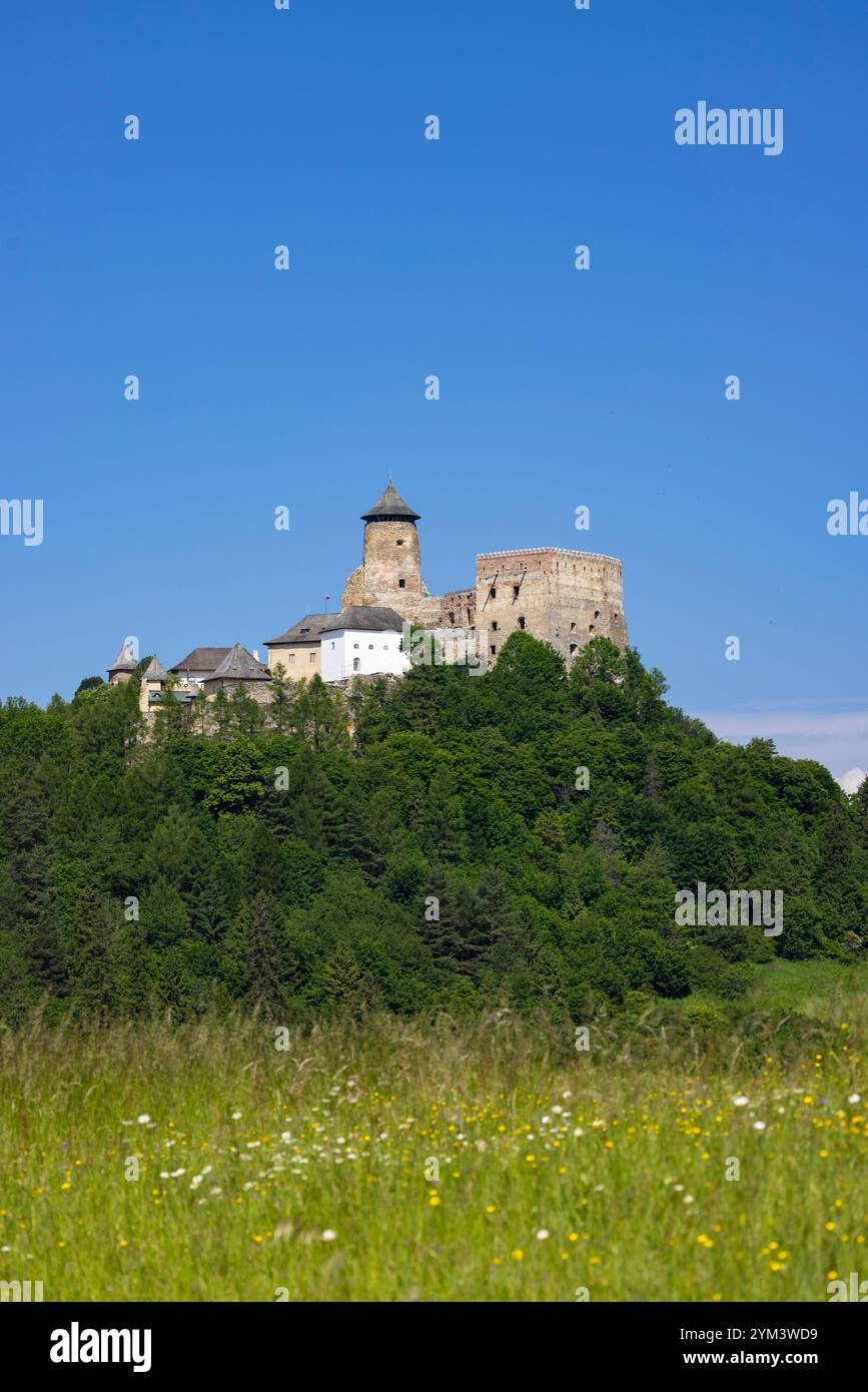 Castello di Stara Lubovna, regione di Presov, Slovacchia Foto Stock