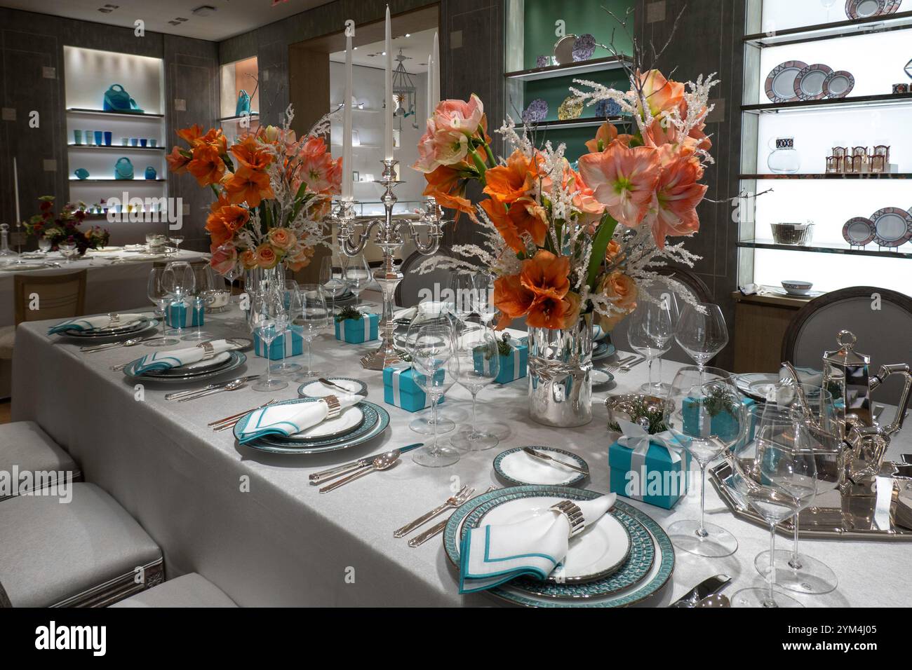 La gioielleria di punta Tiffany & Co. Si trova sulla Fifth Avenue, New York City, USA 2024 Foto Stock