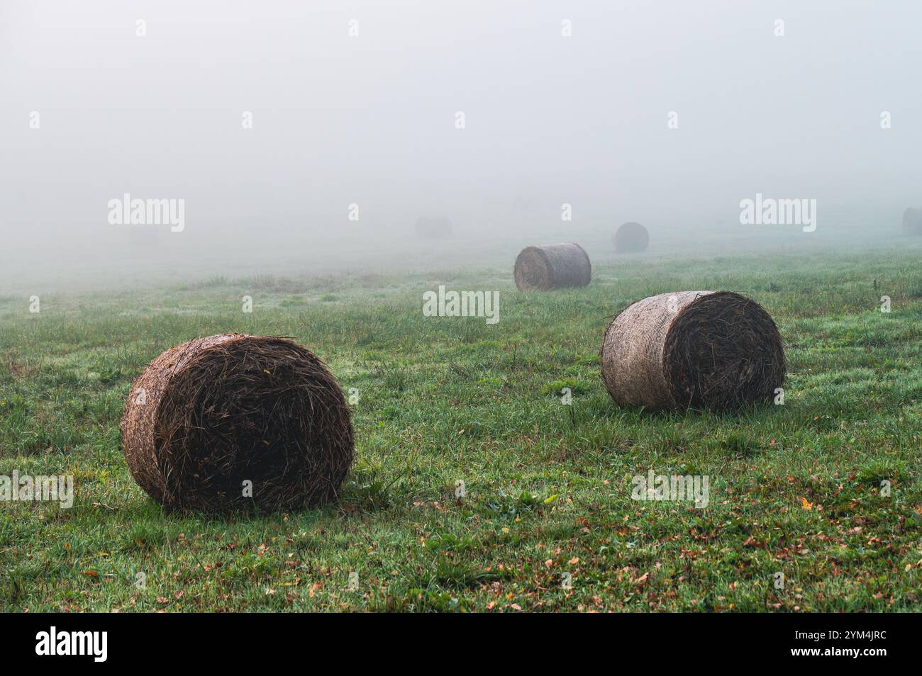 Balle di paglia nella nebbia su un prato durante una mattina autunnale Foto Stock