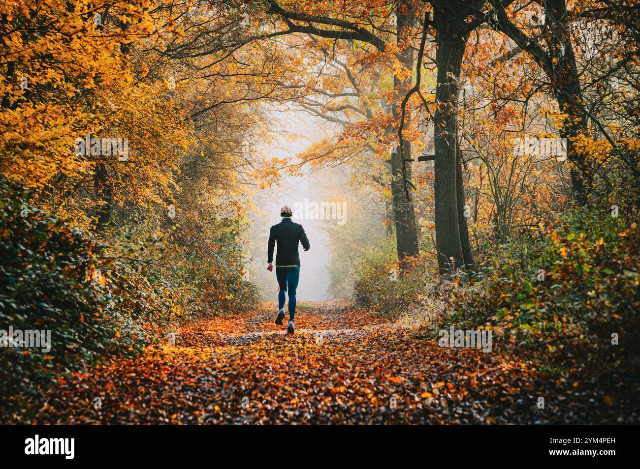 Corsa mattutina attraverso un colorato sentiero autunnale circondato dalla tranquillità della natura Foto Stock