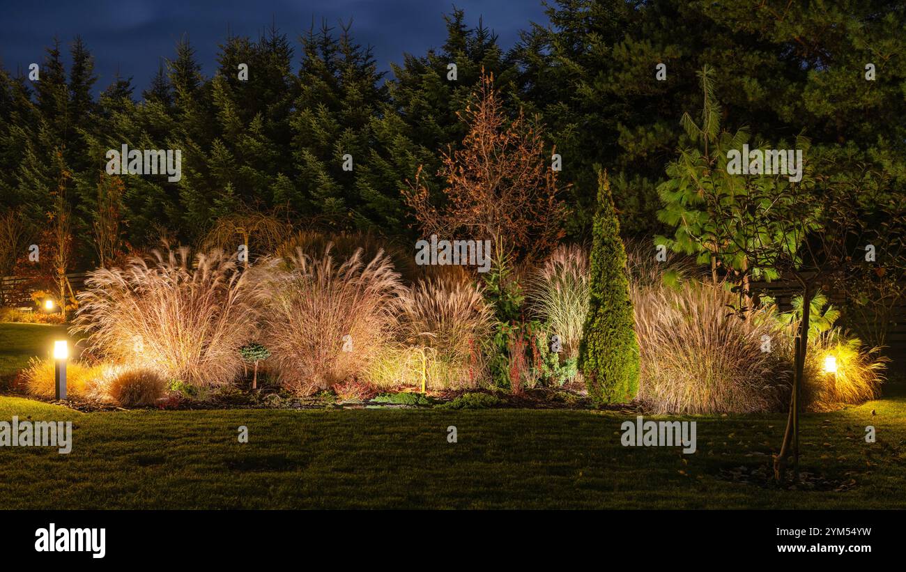Un tranquillo giardino mette in mostra varie piante e erbe sotto una luce soffusa a LED, creando un'atmosfera tranquilla di notte tra gli alti alberi. Foto Stock