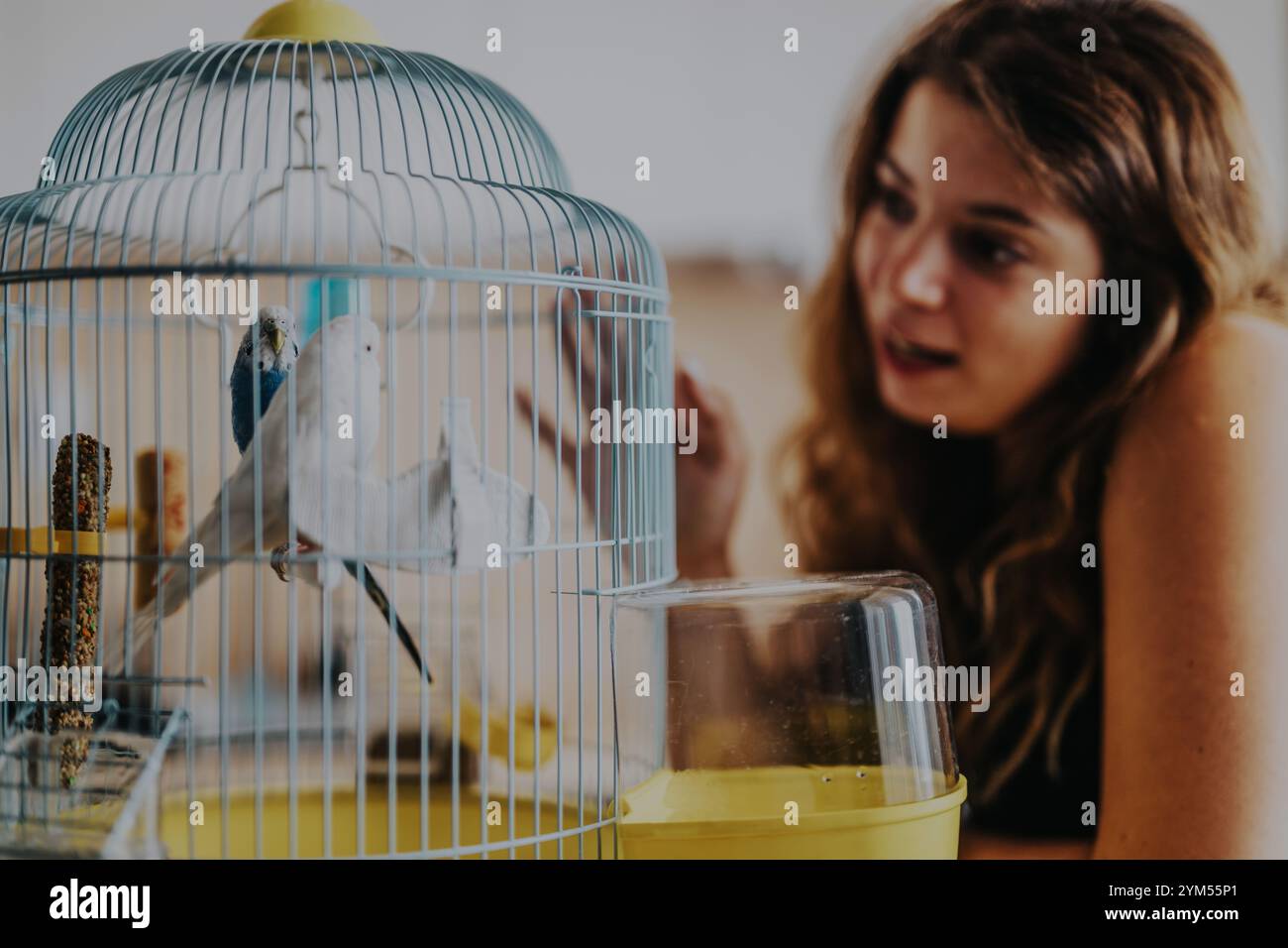 Giovane donna che interagisce con pappagalli domestici all'interno di una gabbia colorata, mostrando un momento gioioso e intimo tra una persona e i suoi compagni piumati Foto Stock