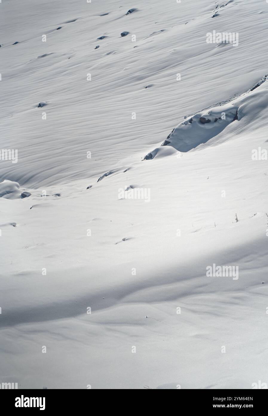 Paesaggio innevato incontaminato con ombre sottili Foto Stock