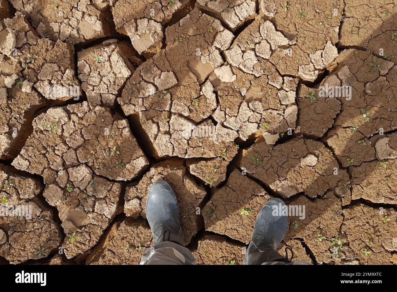 Camminare con gli stivali sul fondo incrinato di uno stagno essiccato Foto Stock