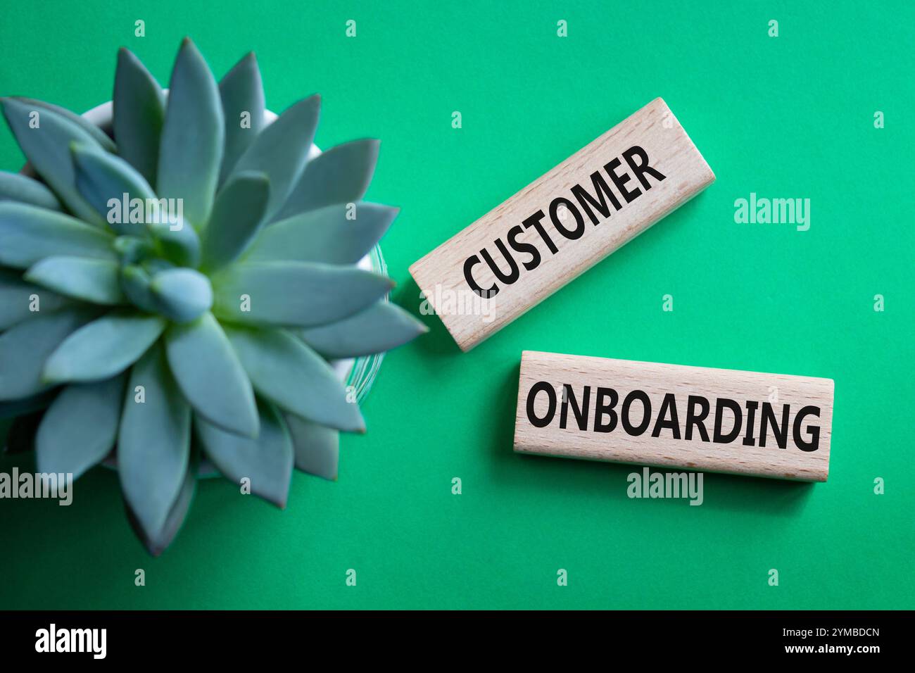 Simbolo di inserimento del cliente. Parola concettuale inserimento del cliente su blocchi di legno. Splendido sfondo verde con piante succulente. Azienda e cliente Foto Stock