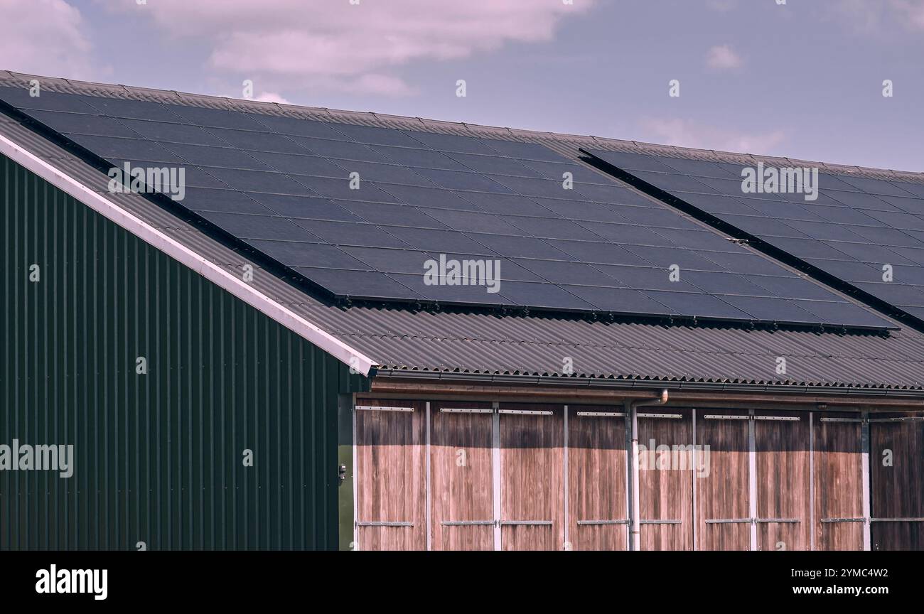 Un'ampia gamma di pannelli solari installati su un tetto di un edificio agrario che promuove la transizione verso l'energia verde nei Paesi Bassi, una dimostrazione di sostentamento Foto Stock