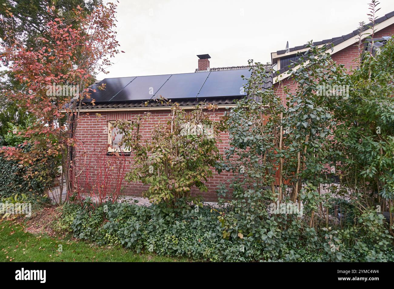 Un impianto solare residenziale molto piccolo in un capannone di una casa olandese, che mostra chi ha avuto successo la politica olandese per l'energia verde. Foto Stock